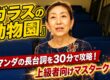 ガラスの動物園 小柴友美恵